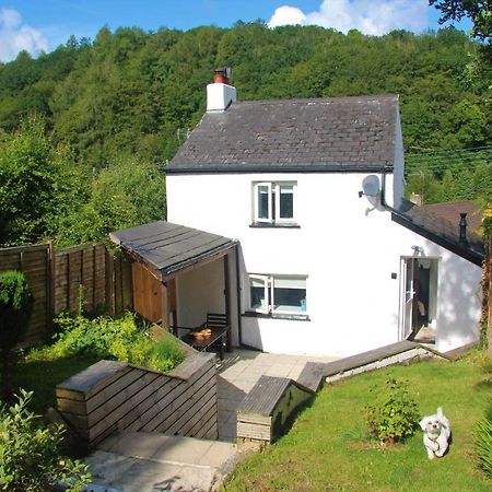 Peacock Cottage Cinderford Екстериор снимка