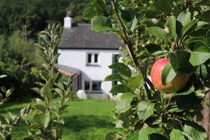 Peacock Cottage Cinderford Стая снимка